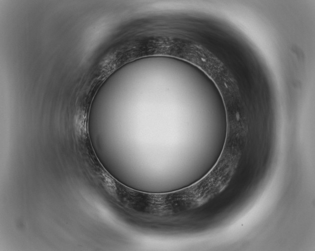 X0000112410766200908141400