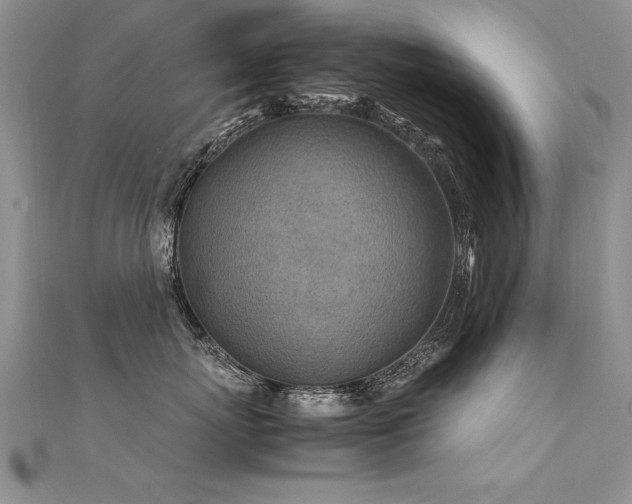 X0000112410767200908141400