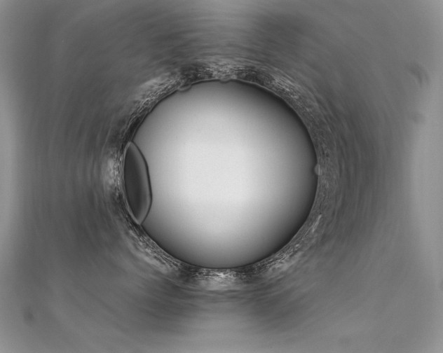 X0000112410768200908141400