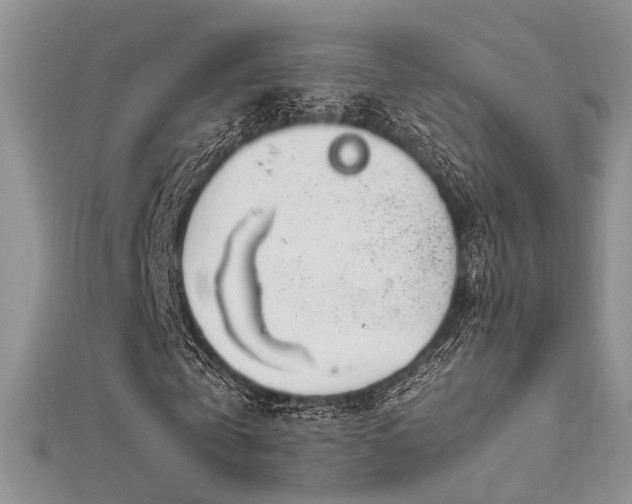 X0000112410769200908141400
