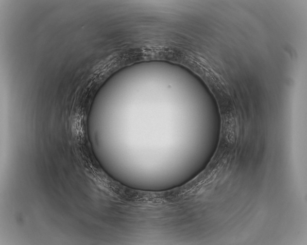 X0000112410770200908141400