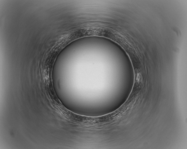 X0000112410771200908141400