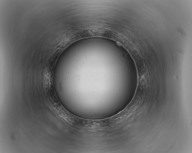 X0000112410772200908141400
