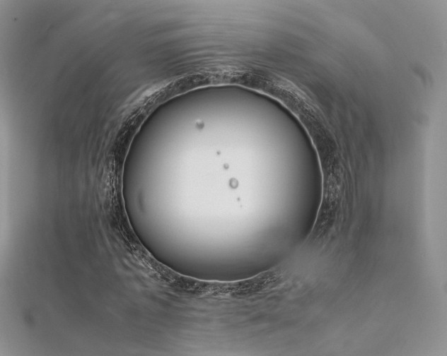 X0000112410773200908141400