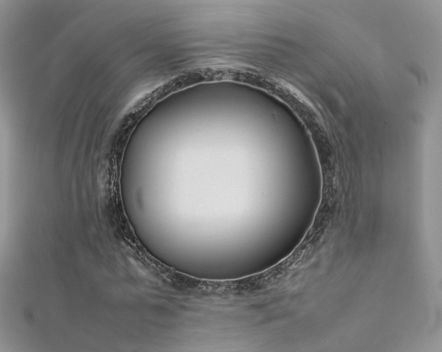 X0000112410775200908141400