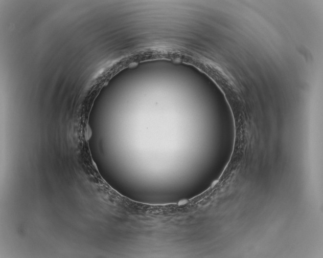 X0000112410776200908141400