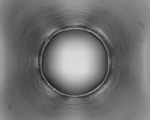 X0000112410777200908141400