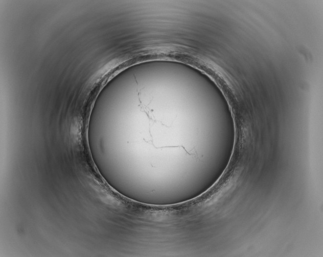 X0000112410778200908141400