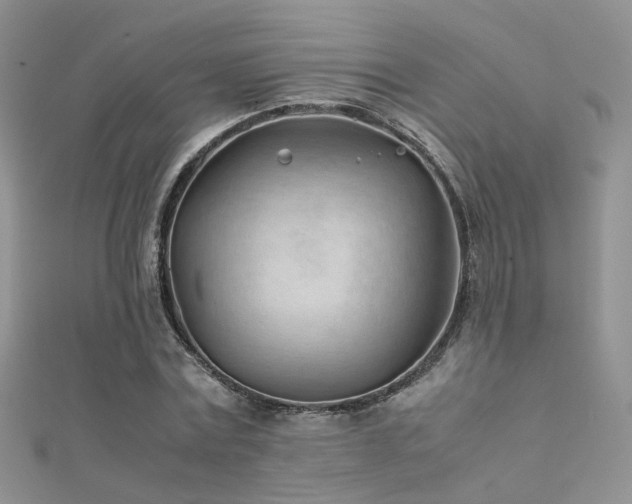 X0000112410779200908141400