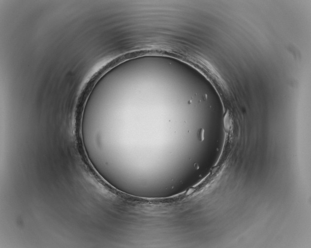 X0000112410780200908141400