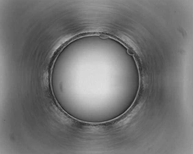 X0000112410781200908141400
