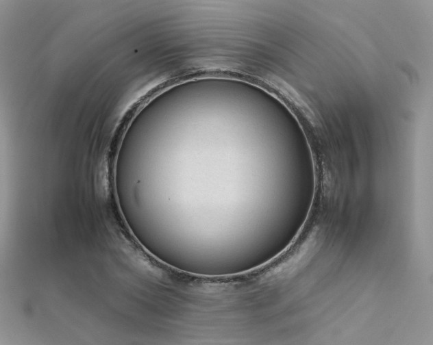 X0000112410782200908141359