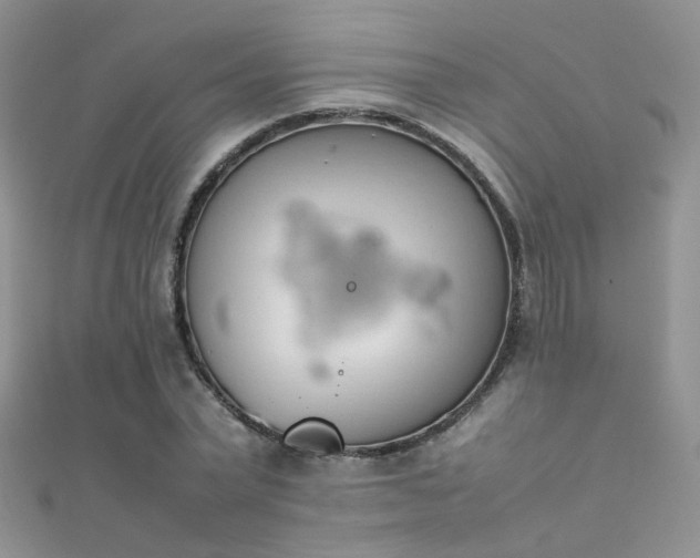 X0000112410783200908141359