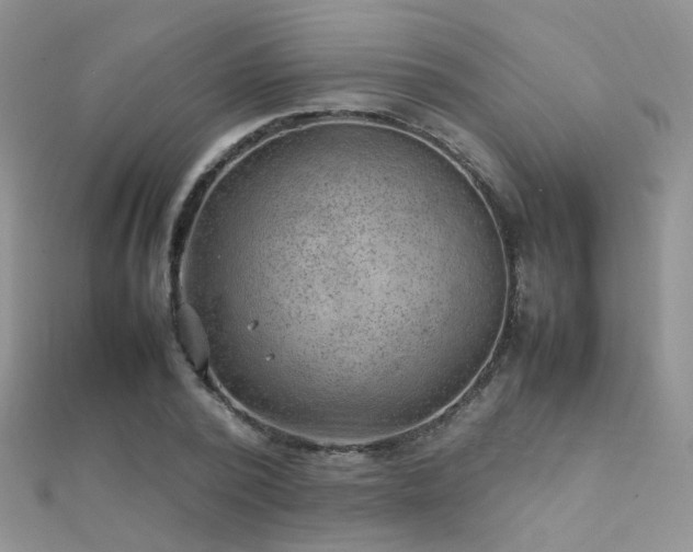X0000112410784200908141359