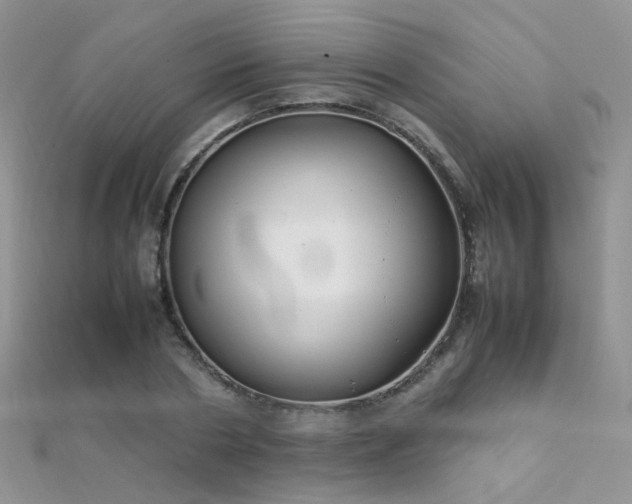 X0000112410786200908141359