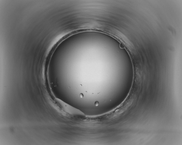 X0000112410788200908141359