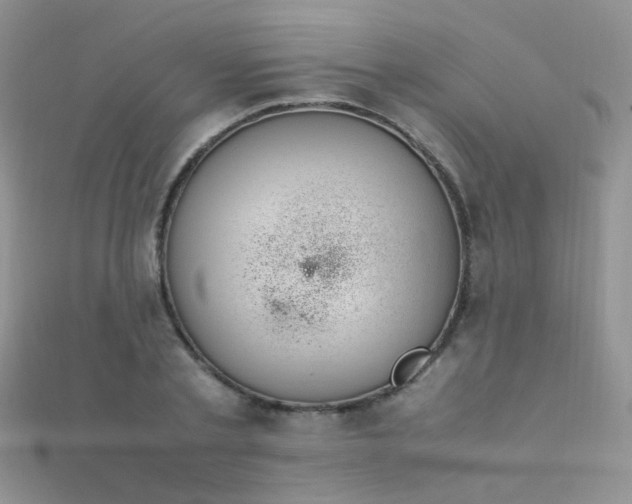 X0000112410789200908141359