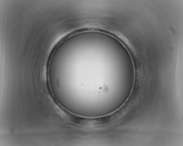 X0000112410791200908141359