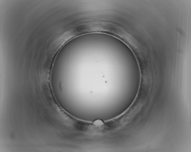 X0000112410793200908141359