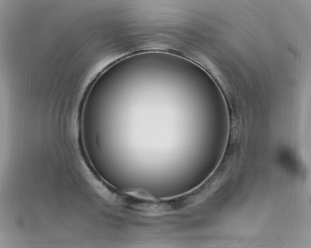 X0000112410795200908141359