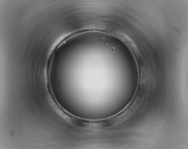 X0000112410796200908141359