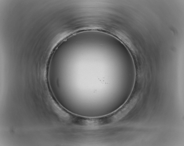 X0000112410797200908141359