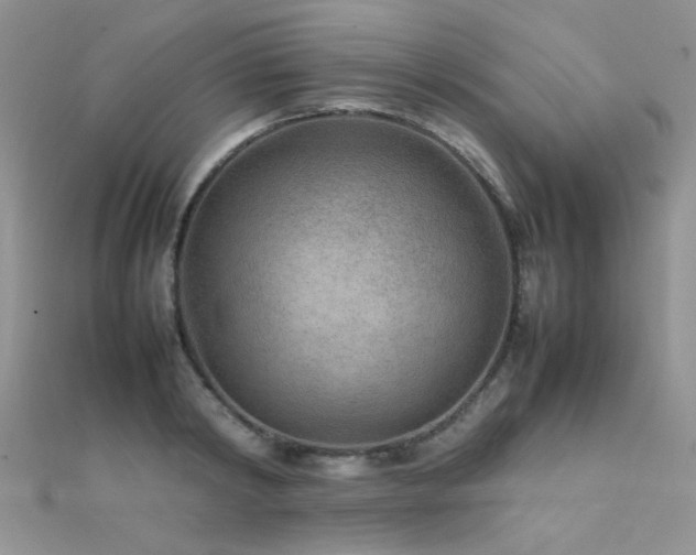 X0000112410798200908141359