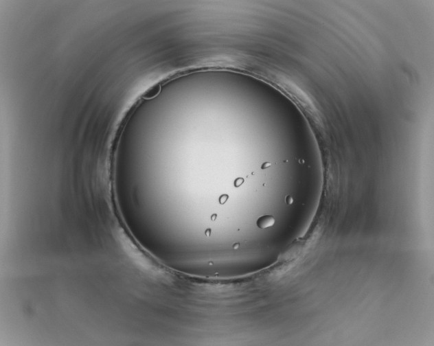 X0000112410800200908141359