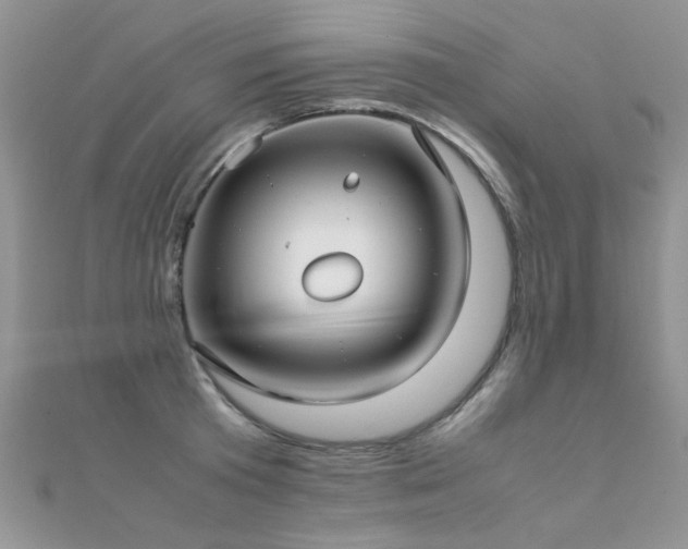 X0000112410801200908141359