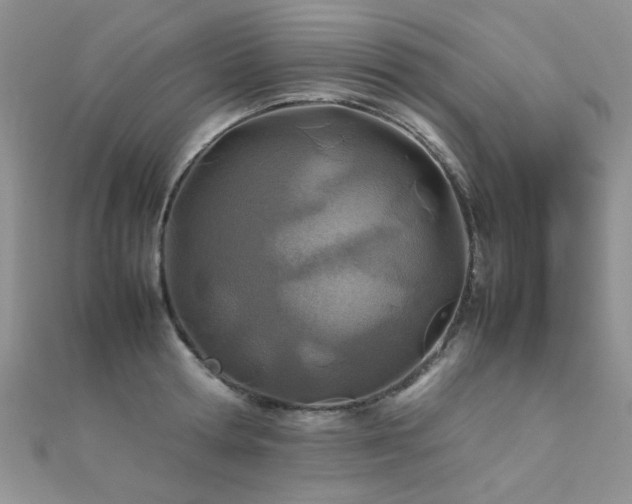 X0000112410802200908141359