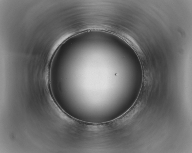X0000112410804200908141359