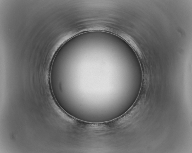 X0000112410805200908141359