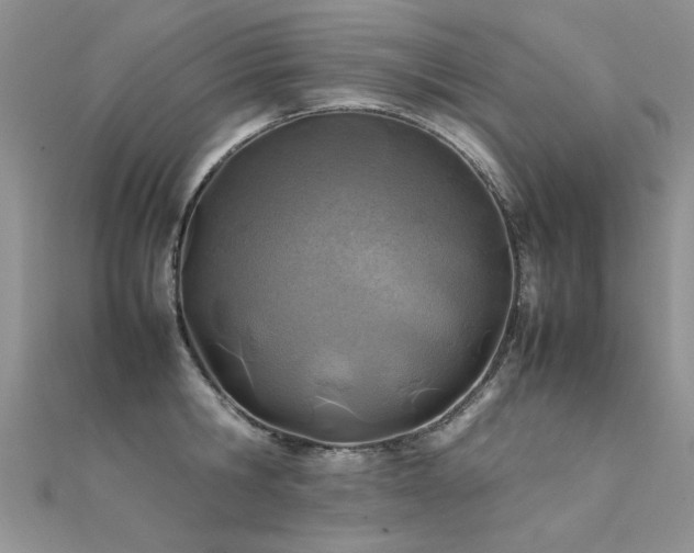 X0000112410806200908141359