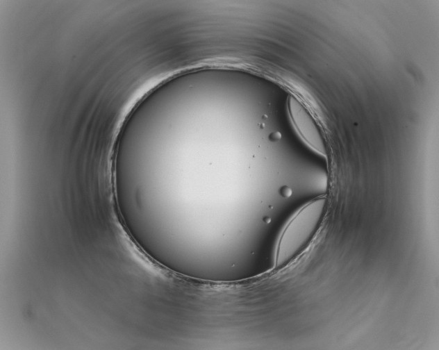 X0000112410808200908141359