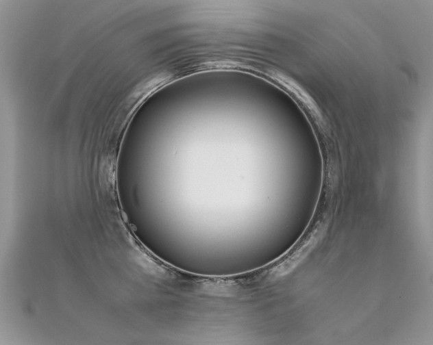 X0000112410809200908141359