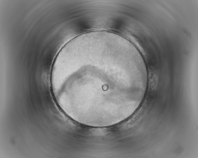 X0000112410810200908141359