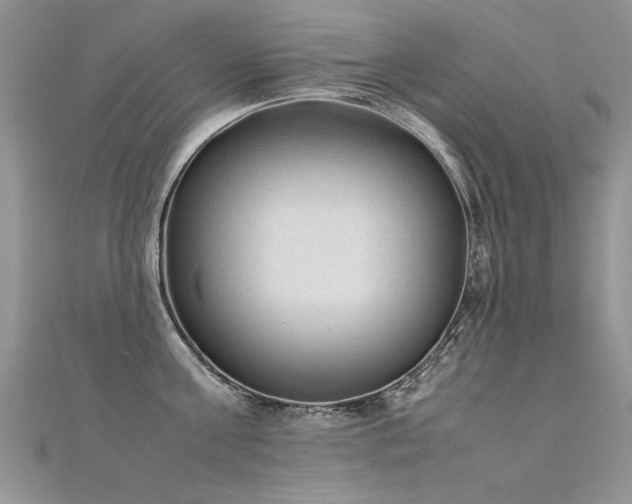 X0000112410811200908141359