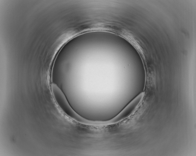 X0000112410813200908141359