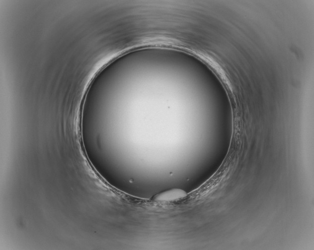 X0000112410815200908141359