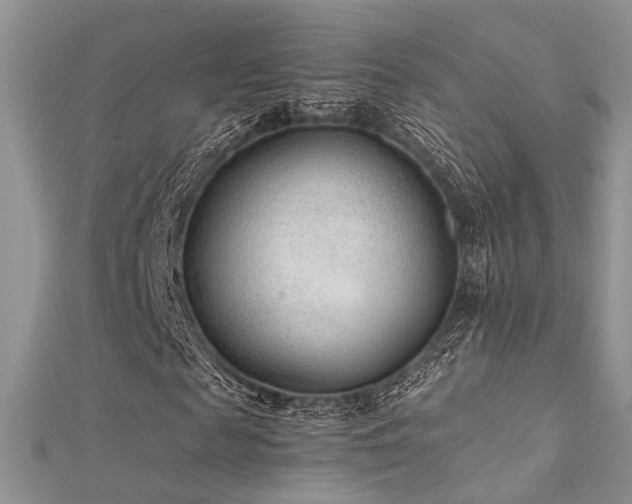 X0000112410817200908141358