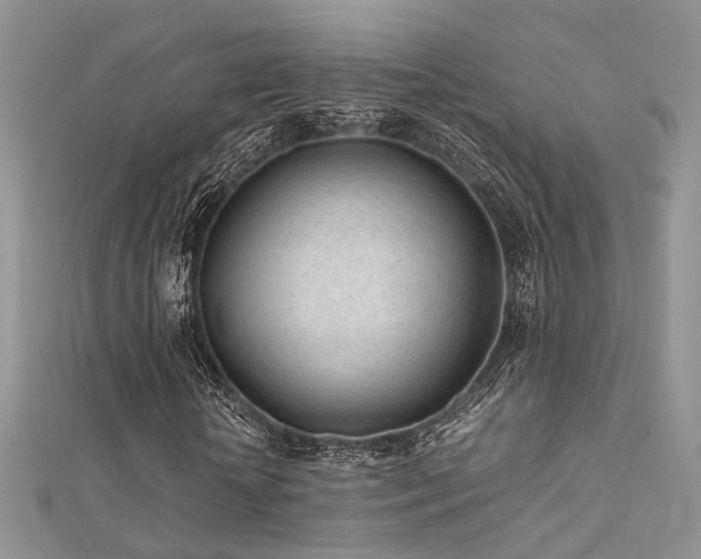 X0000112410818200908141358