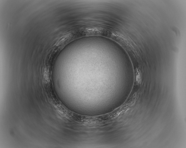 X0000112410819200908141358