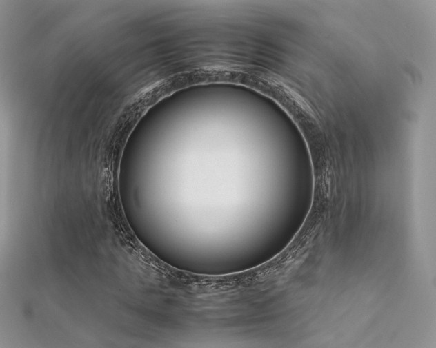 X0000112410821200908141358