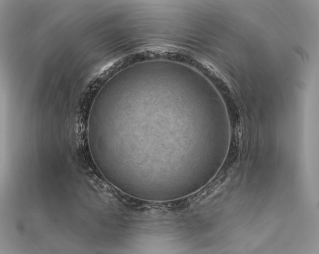 X0000112410822200908141358