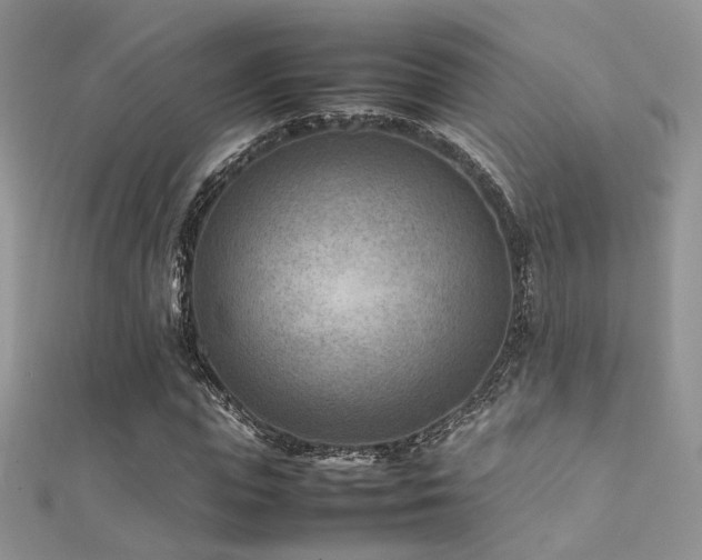 X0000112410823200908141358