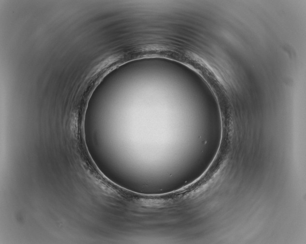 X0000112410825200908141358