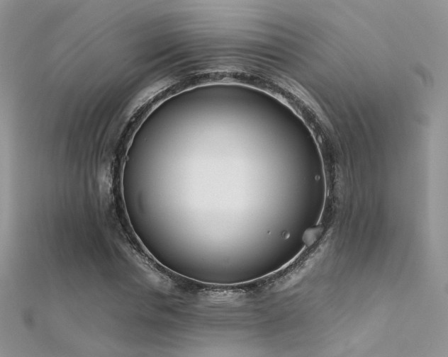 X0000112410826200908141358