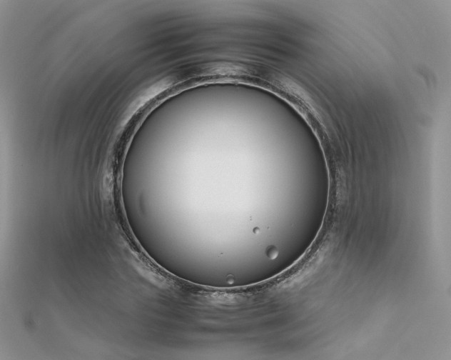 X0000112410827200908141358