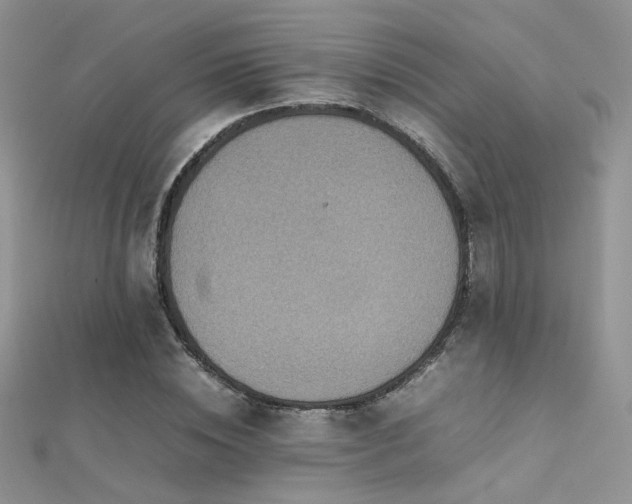 X0000112410828200908141358