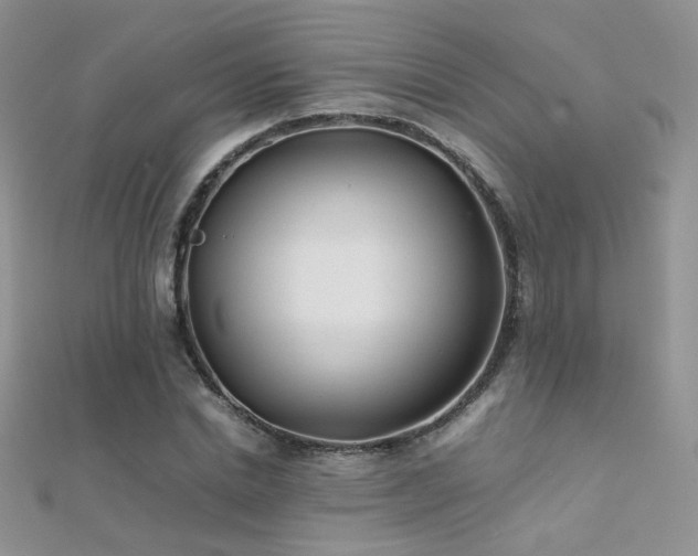 X0000112410830200908141358